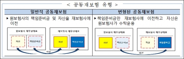 공동재보험 운영 변경안. 자료=금융감독원