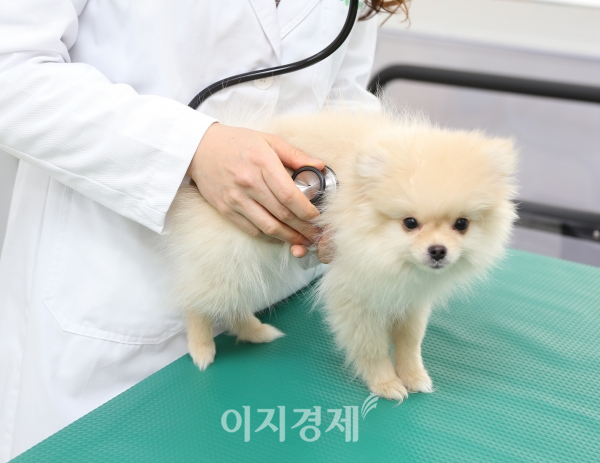 사진=농촌진흥청