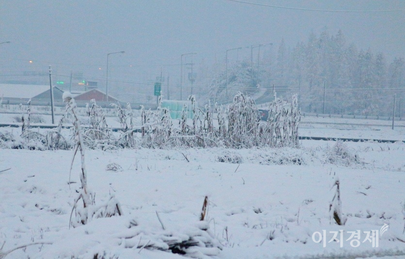 28일 전국 대부분 지역에 돌풍과 함께 많은 눈이 내리겠다. 이달 중순 많은 눈이 내린 전북 부안 들판. 사진=김보람 기자