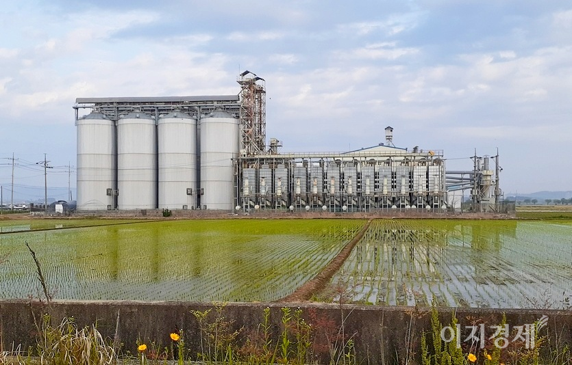 현대판 정미소인 미곡처리장이 막 모내기를 한 논 한가운데 자리했다. 전북 부안군 들녘. 사진=김보람 기자