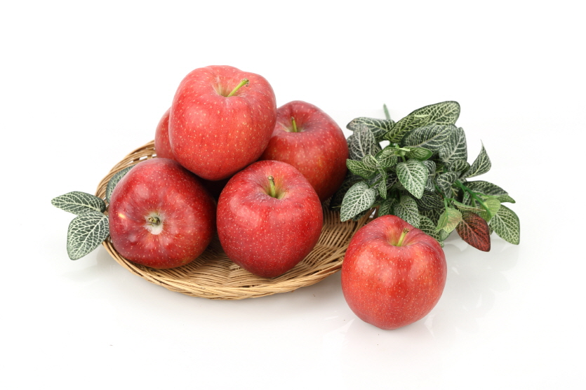 사진=농촌진흥청