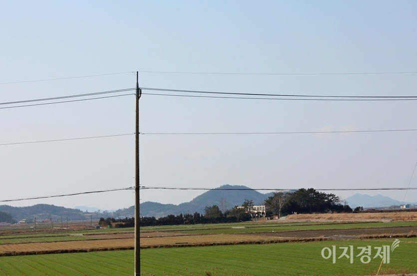 (위부터)열차가 나주를 지나고 목포에 가까워 지자 보릿의 초록빛이 짙어졌다. 맨 아래는 해남이다. 사진=김보람 기자