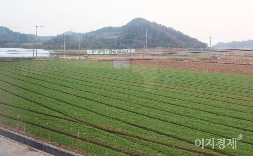 (위부터)열차가 나주를 지나고 목포에 가까워 지자 보릿의 초록빛이 짙어졌다. 맨 아래는 해남이다. 사진=김보람 기자