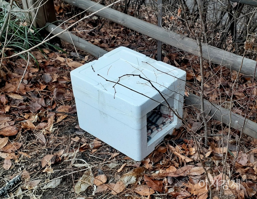 서울 서초구에 있는 한 아파트 단지. 주민들이 500여미터의 산책로와 인접한 아파트 울타리에 길고양이 집을 대여섯개 만들었다. 사진=양지훈 기자