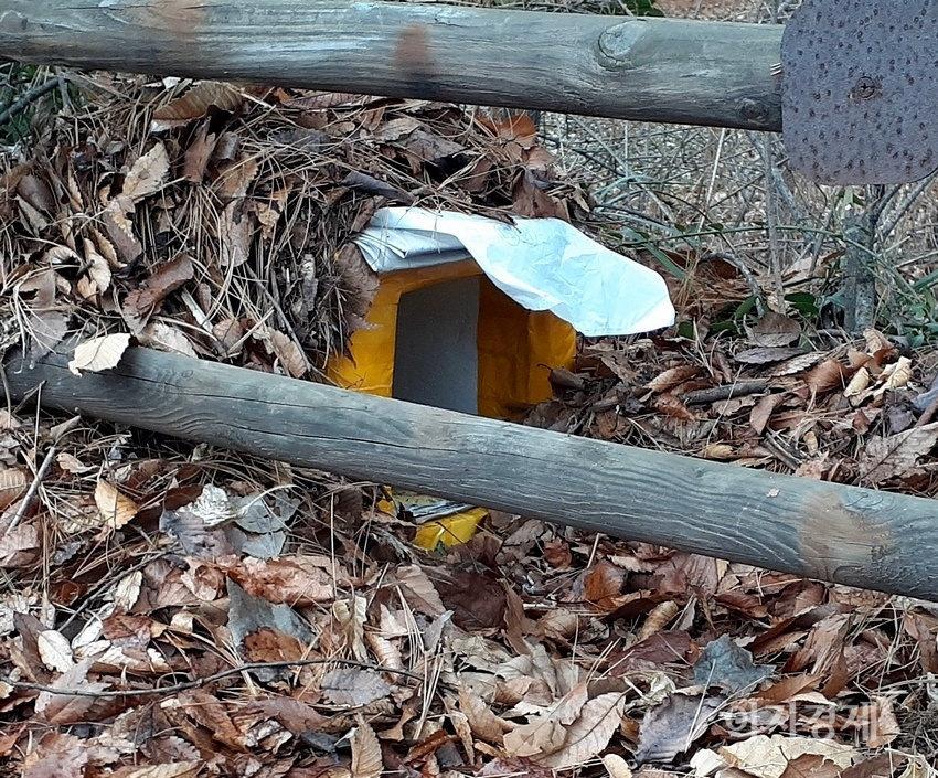 서울 서초구에 있는 한 아파트 단지. 주민들이 500여미터의 산책로와 인접한 아파트 울타리에 길고양이 집을 대여섯개 만들었다. 사진=양지훈 기자