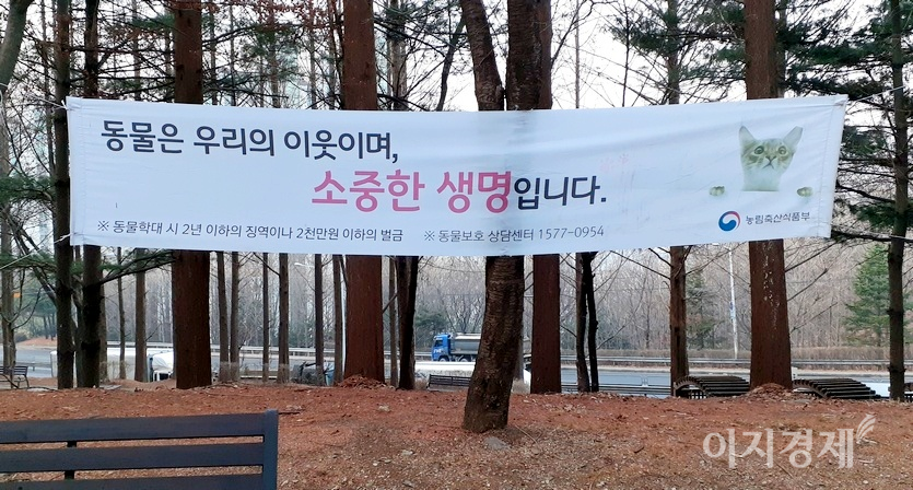 정부는 길고양이 등 동물보호 현수막을 수도권에 있는 도심 공원에 내걸었다. 성남시 망덕공원 모습. 사진=양지훈 기자