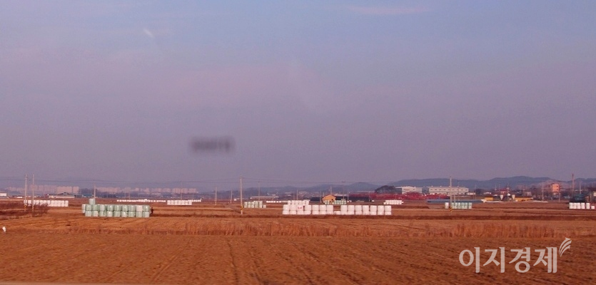 봄철 해충 방제를 위해 농촌에서 대대적으로 펼쳐지는 ‘논두렁 태우기’가 실제 방제에 전혀 도움이 되지 않는 것으로 파악됐다. 전북 부안군 동지면 들판. 사진=문룡식 기자