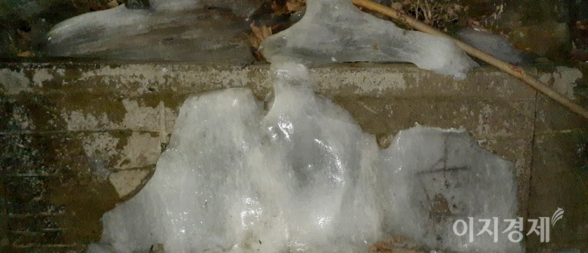 경기도 성남시 중원구 자혜공원 골짜기. (위부터)1월 얼음이 대부분 녹았다. 사진=김보람 기자