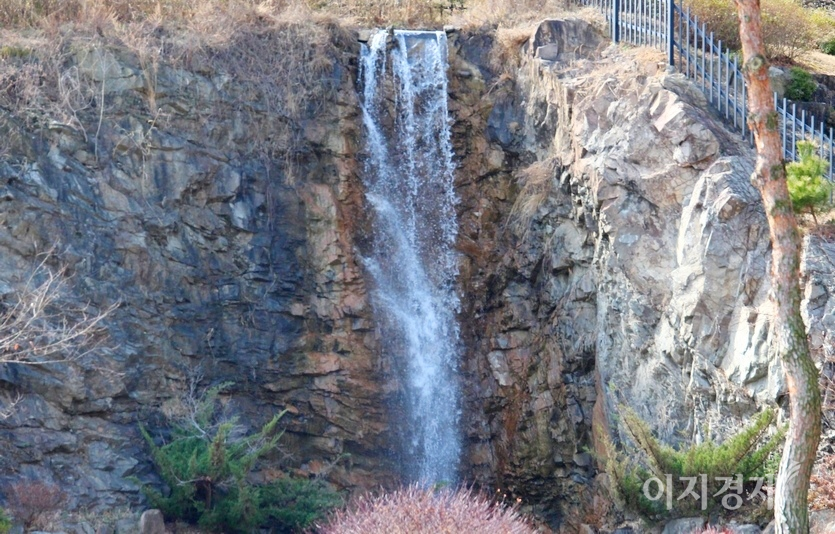 전북 전주시 효자봉안당 폭포의 물줄기 역시 풀렸고, 인근 국립축산과학원 앞 침엽수도 푸르름을 더했다. 논에서 자라는 풀과 보리도 짙은 녹색 옷을 입었다. 사진=김보람 기자