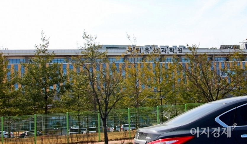 전북 전주시 효자봉안당 폭포의 물줄기 역시 풀렸고, 인근 국립축산과학원 앞 침엽수도 푸르름을 더했다. 논에서 자라는 풀과 보리도 짙은 녹색 옷을 입었다. 사진=김보람 기자