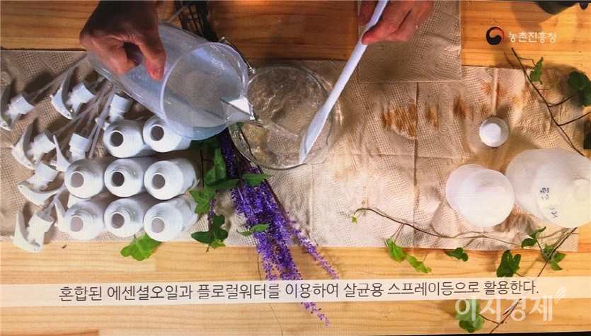 사진=농촌진흥청