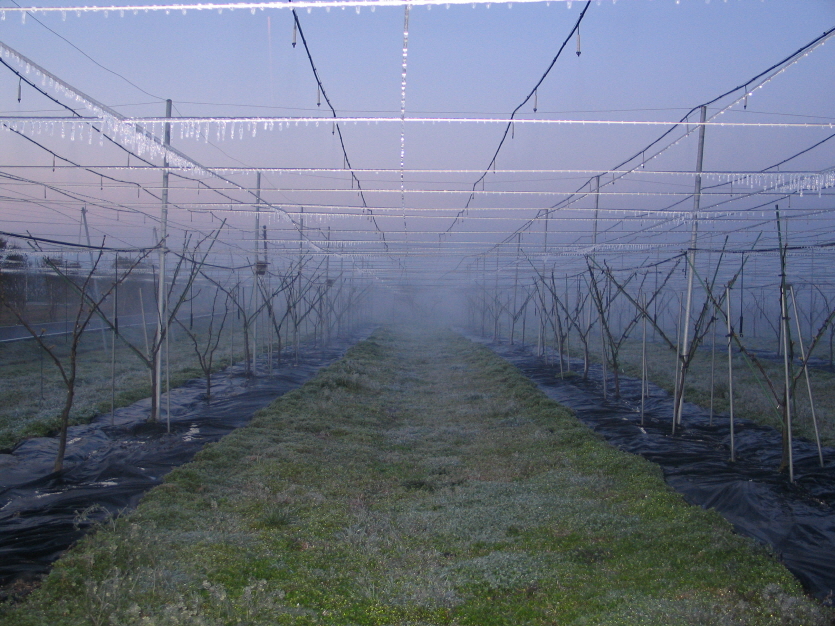 사진=농촌진흥청