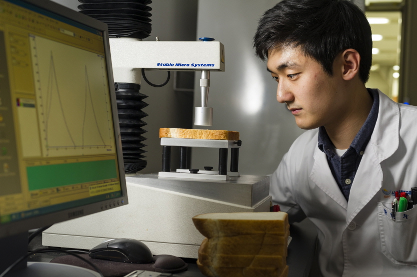 한 연구원이 SPC식품생명공학연구소에서 토종효모를 적용해 만든 빵을 분석하고 있다. 사진=SPC그룹