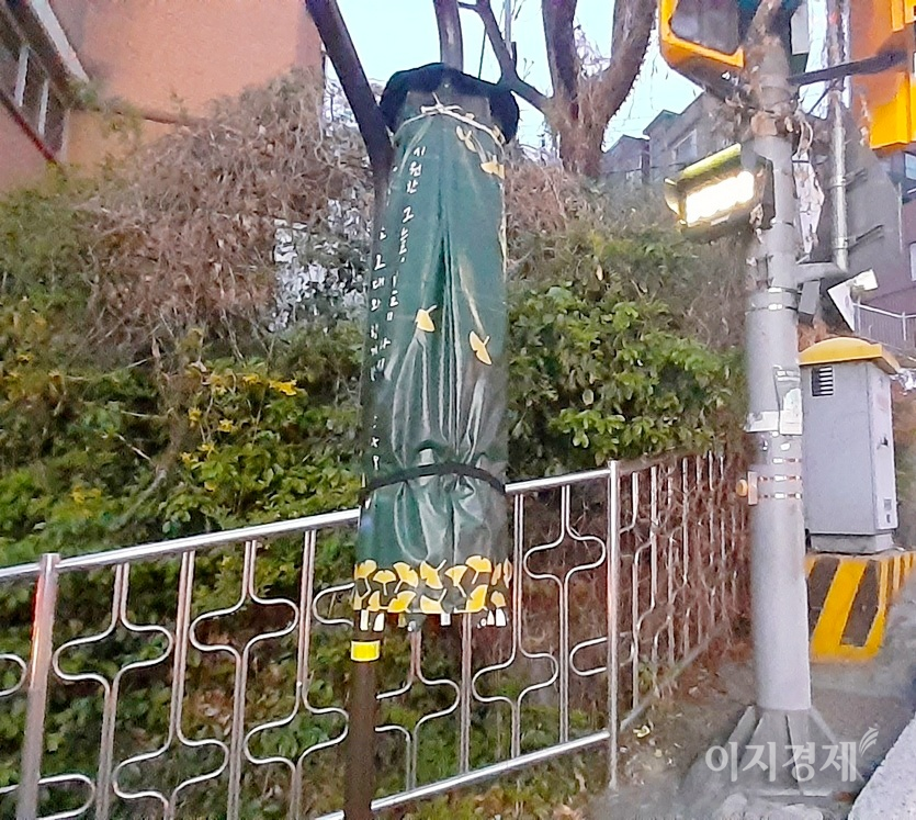 서초구보다 남쪽에 있는 성남시는 아직 그늘막을 펴지 않았다. (위부터)중원구 자혜로와 산성대로변에 있는 그늘막. 사진=김보람 기자