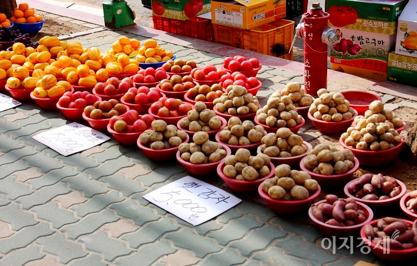 손님은 없고, 햇감자만이 자리를 지키고 있으며,