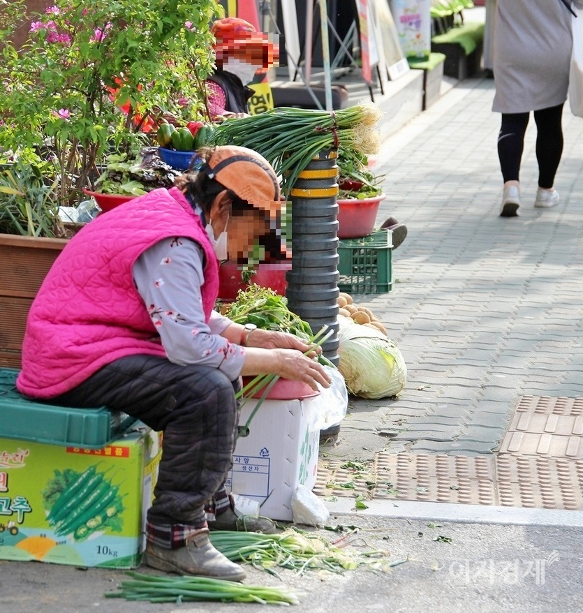 파를 다듬고 있다. 사진=이상 정수남 기자