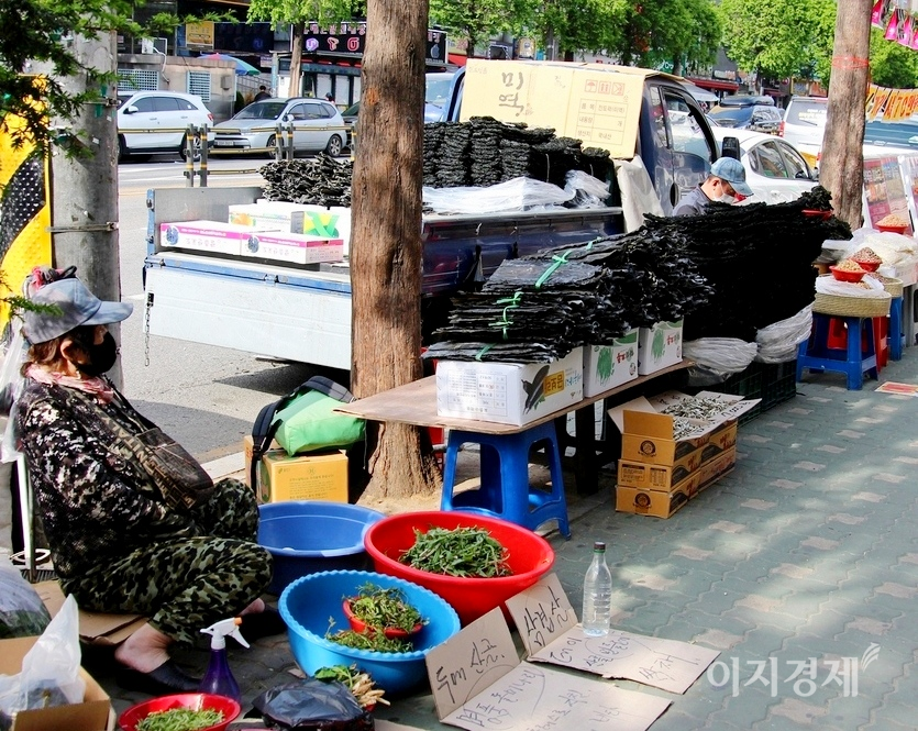 잡화를 판매하는 노점상은 장사를 포기하고 뜨개질을 하고 있고, 봄나물과 건미역을 파는 노점상은 먼산 바라보기를 하고 있다. 사진=이상 정수남 기자