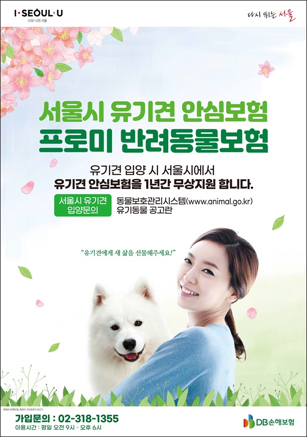 DB손해보험은 유기견 입양 활성화를 위해 참여한 ‘2021년 서울시 유기동물 안심보험 지원사업’에 최종 사업자로 선정됐다고 27일 밝혔다. 사진=DB손해보험