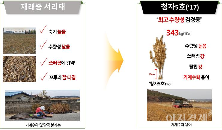 사진=농촌진흥청