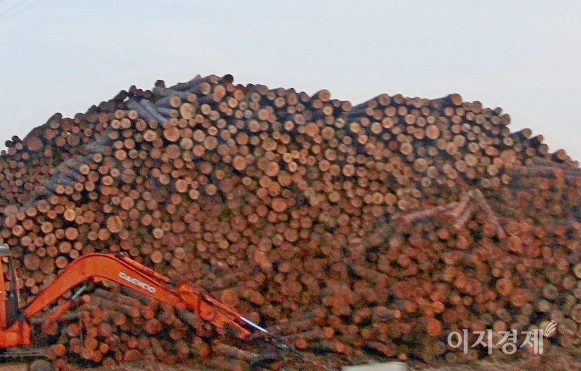 코스피가 17일 3160선에서 상승하고 있다. 업종별로는 운수창고, 종이목재 등 주요 종목이 오르고 있다. 사진=양지훈 기자