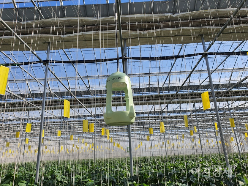 농촌진흥청이 개발한 온실 해충 자동 진단 시스템'. 사진=농촌진흥청