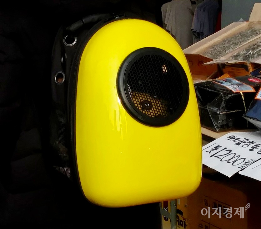 강아지를 가방에 넣어 매거나, 보행기에 태우고, 안는 것도 모자라, 사진=정수남 기자