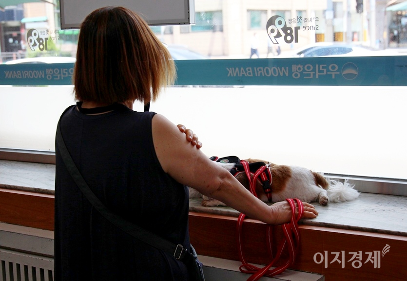 냉방기 가동으로 시원한 우리은행이 주민과 개에게는 행복한 장소인 셈이다. ‘우리나라 첫은행 1899, 우리은행’과 함께 잡았다. 사진=정수남 기자