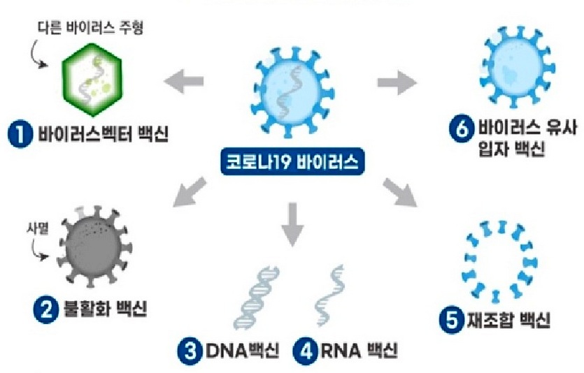 코로나19 백신의 종류. 사진=식약처