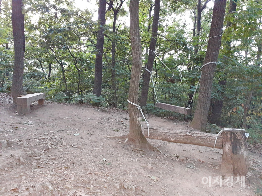 일부 벤치는 살아 있는 나무에 나일론 줄을 칭칭 감았다. 사진=정수남 기자