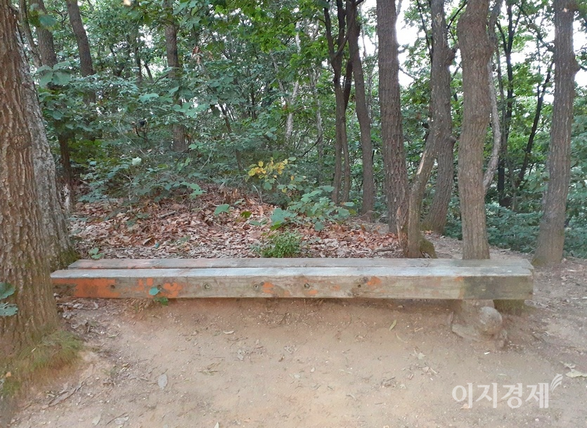 이곳에서 100여m 떨어진 곳에는 중원구청이 설치한 간이 벤치가 있다. 자연을 훼손하지 않았다. 사진=정수남 기자