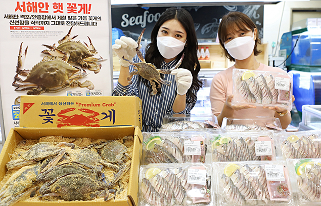 롯데마트가 지역 축제 취소로 어려움에 빠진 어민을 돕기위해 전년 보다 보름 일찍 ‘햇 전어’ 행사를 준비했다. 사진=롯데마트