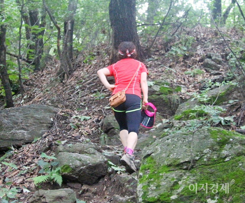 코로나19 장기화에 따른 감염병 불감증으로 최근 등산 등 아웃도어 활동을 즐기는 사람들이 늘었다. 한 여성이 남한산성 성남시 구간을 오르고 있다. 사진=김성미 기자