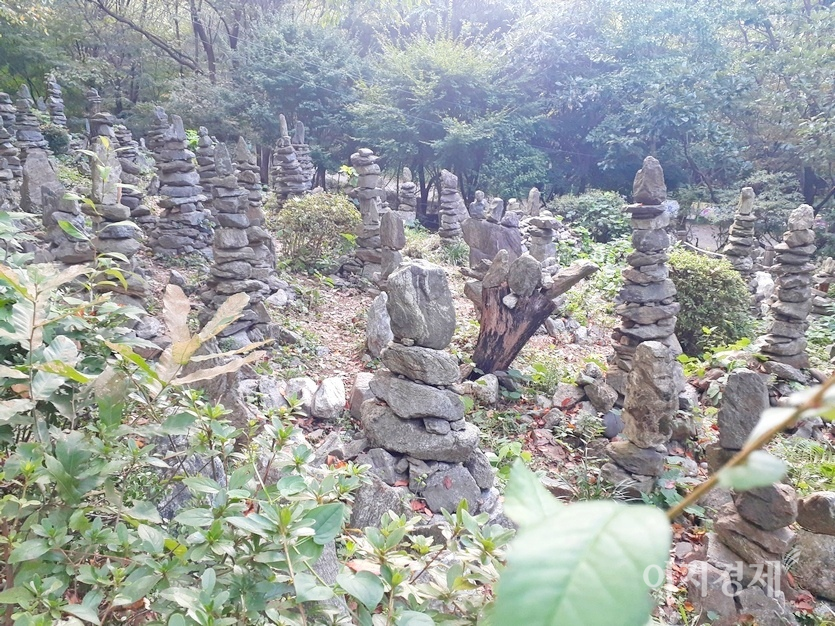 성곽 등 문화재 복원 사업에 민간인을 활용하는 방법은 어떨까? 남한산성도립공원 경기 성남시 구간에 인근 주민이 쌓아 올린 돌탑. 이들 돌탑은 태풍이 불고, 강우가 쏟아져도 끄떡없다. 사진=정수남 기자