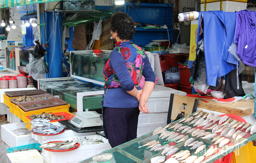 손님이 없자 주인들이 먼산 바라기를 하고 있다. 사진=정수남 기자