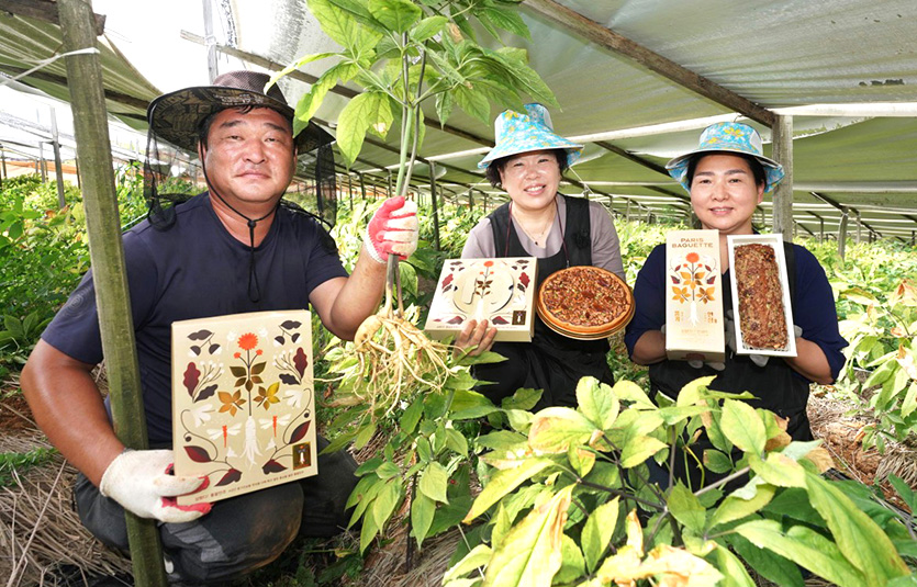 파리바게뜨가 추석을 앞두고 선보인 건강 선물세트가 좋은 반응을 얻고 있다. 인삼 재배 농가의 농부들이 풍기인삼을 활용한 파리바게뜨 제품을 소개하는 모습. 사진=SPC그룹