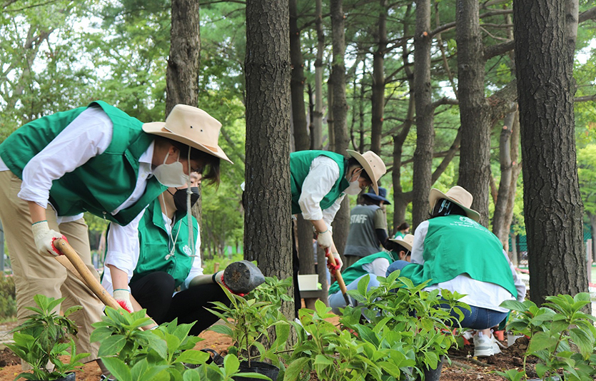 스타벅스커피 코리아가 서울숲공원에 약 300평의 숲을 조성하며 성공적으로 캠페인을 마무리했다. 사진=스타벅스