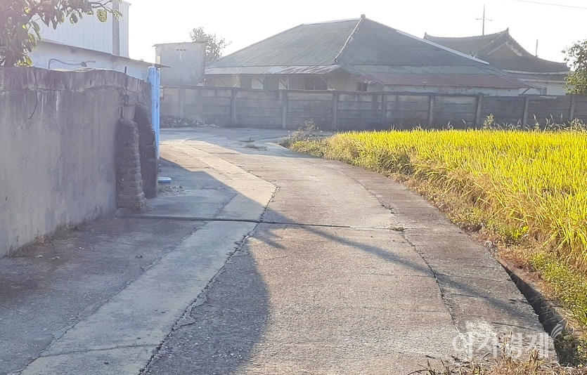 동네 고샅도, 노인당 마당도 시멘트가 차지했다. 사진=정수남 기자