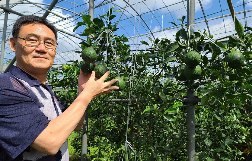 쿠팡 뉴스룸은 쿠팡과 함께 부활한 신선 상품 소상공인들의 이야기를 생생히 전하기 위해 대표적 사례로 제주도에 위치한 농업회사법인 ‘느영나영’의 김정렬 대표(사진)를 만났다. 사진=쿠팡