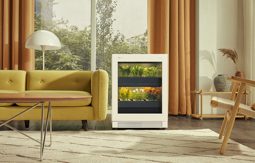 11번가는 출시 전부터 뜨거운 관심을 모았던 가정용 식물재배가전 ‘LG 틔운’을 온라인쇼핑 업계 최초로 판매한다. 사진=11번가