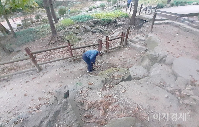 가을은 결실의 계정이자 수확의 계절이다. 인근 주민들이 남한산성도립공원에서 밤과 도토리 등을 줍고 있다. 도토리, 밤 줍기는 낮과 밤이 없다. 산림 내 임산물 불법채취는 5년 이하의 징역 또는 5000만원 이하의 벌금을 물린다. 사진=정수남 기자