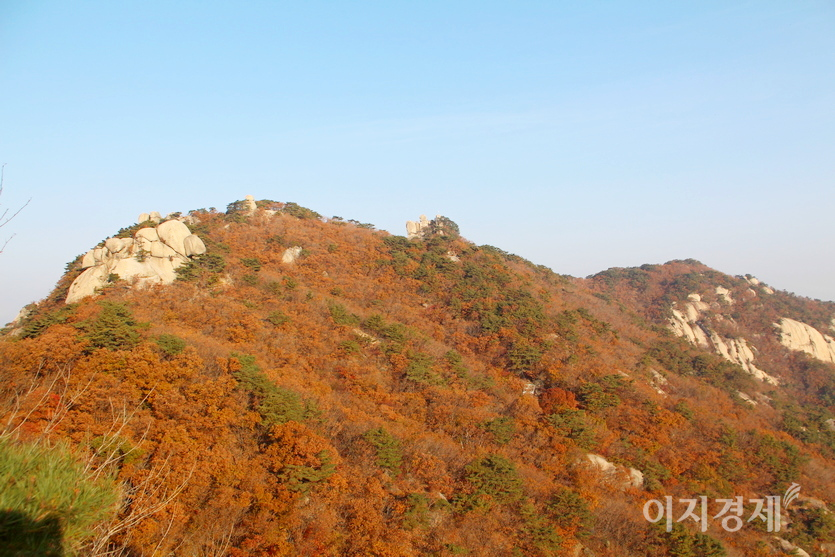 (위부터)관악산과 수락산 단풍. 사진=정수남 기자