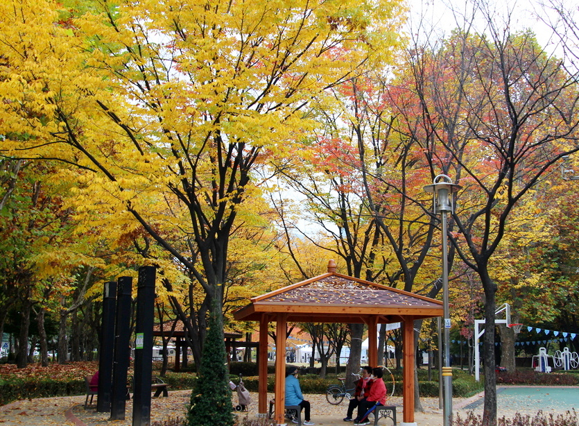 70, 80대 노인들이 정자에서 앉아 담소를 나누고 있다. 오른쪽 나뭇잎이 다 떨어진 게 노인들은 보는 것 같다. 사진=김진이 기자