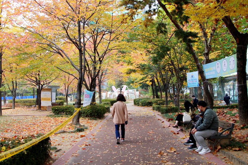 공원 반대편에는 상대적으로 젊은 사람들이 있다. 상록수와 활엽수가 섞여 있다. 사진=김진이 기자