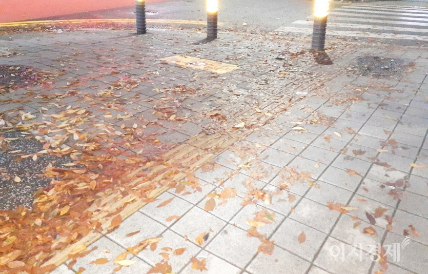 비가 오기라도 하면, 낙엽이 땅에 달라붙어 쓸어지지 않는다. 환경미화원이 가을을 싫어하는 이유다. 사진=김진이 기자