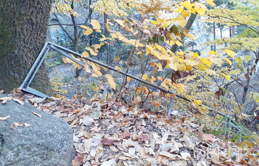 경기도립 공원인 남한산성도립공원 7부 능선에 있는 약사사 인근이다. 구군가 철제 구조물을 버렸다. 이곳까지 오르려면 경사가 평균 45도, 가파른 곳은 70도다. 대단하다. 사진=정윤서 기자