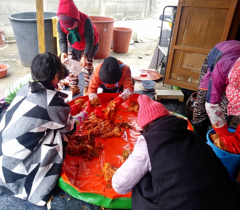 롯데의 편의점 브랜드 세븐일레븐은 김장을 앞두고 내달 말까지 김장을 예약 판매한다. 한 시골 농가에소 아낙들이 김장하고 있다. 사진=정윤서 기자