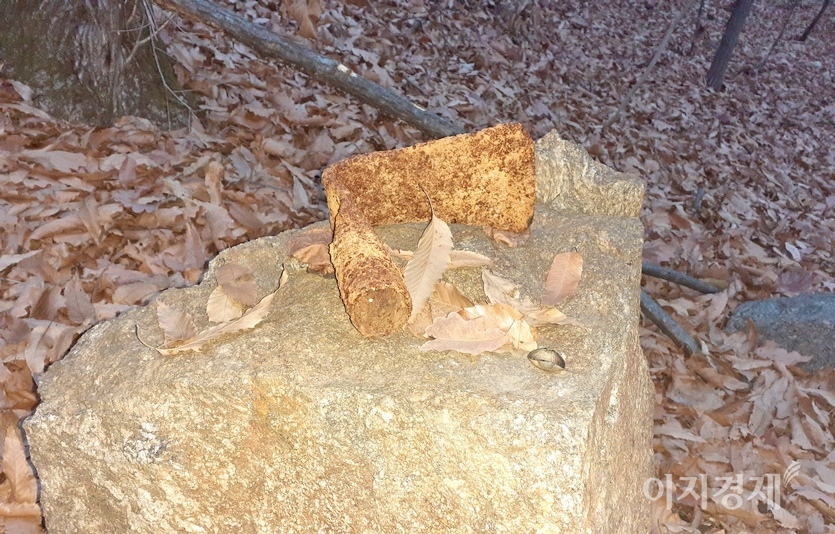 경기도 성남시 중원구에서 검단산으로 오르는 슾 속에서다. 녹슨 괭이가 작은 바위 위에 놓였다. 등산로를 개척하거나, 약초 채취 등에 쓰인듯하다. 사진=김진이 기자