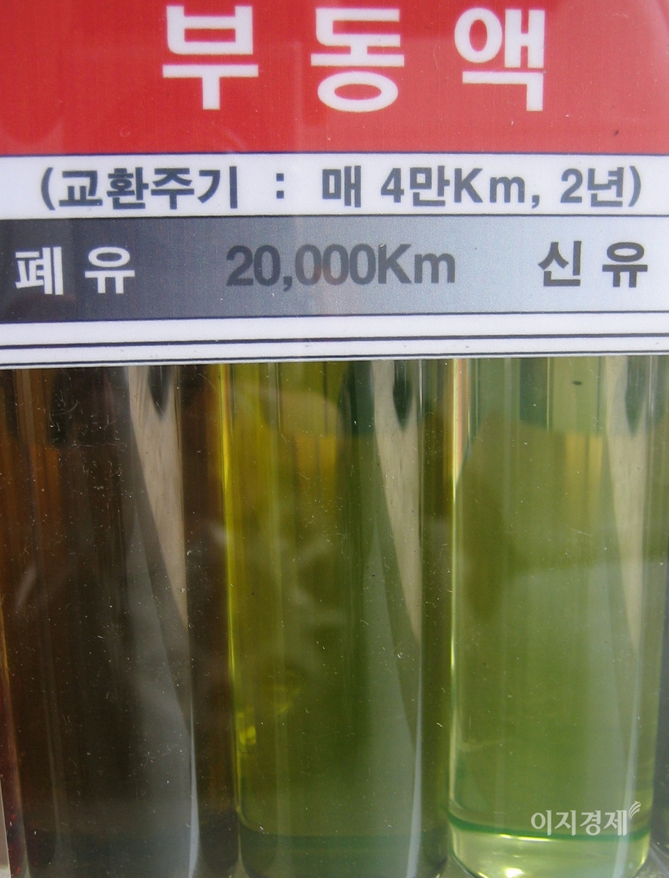 부동액 교체 주기. 사진=정수남 기자