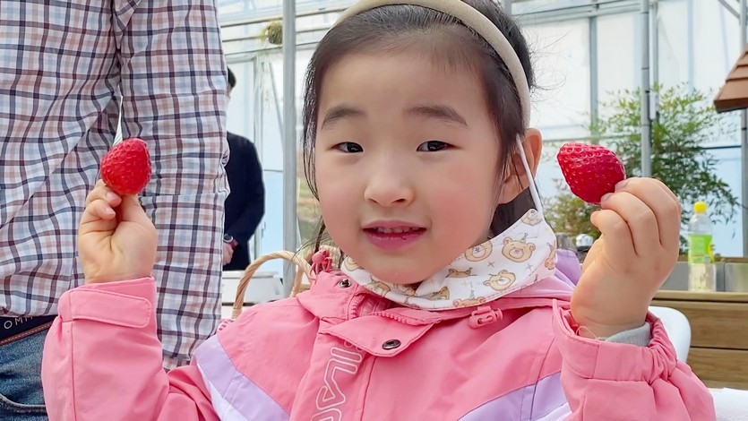 전북 고창에 위치한 매일유업의 상하농원이 22일부터 내년 2월 28일까지 꼬마농부 딸기스쿨을 운영한다. 사진=상하농원