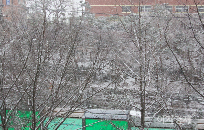 18일 현재 기상청이 수도권과 제주도 산간 등에 대설특보를 발효했다. 성남시 중원구에 많은눈이 내리고 있다. 사진=정윤서 기자